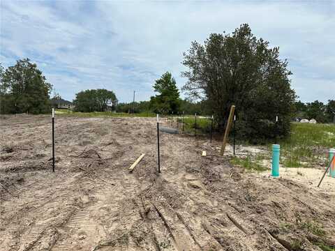 311 BOWFIN COURT, KISSIMMEE, FL 34759
