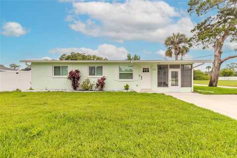 203 FOX PLACE, PORT ORANGE, FL 32127