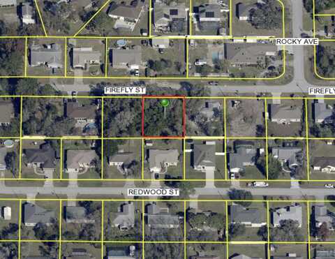 14152 FIREFLY STREET, SPRING HILL, FL 34609