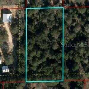 110, BRONSON, FL 32621