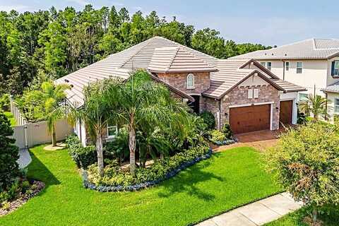29118 PICANA LANE, WESLEY CHAPEL, FL 33543