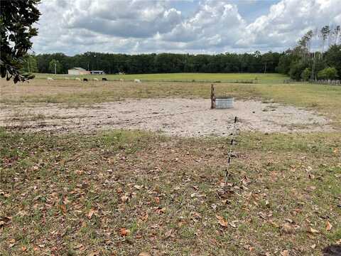 9750 NE 49TH STREET, BRONSON, FL 32621