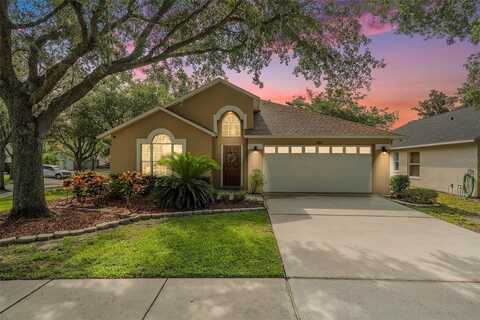 18967 WOOD SAGE DRIVE, TAMPA, FL 33647
