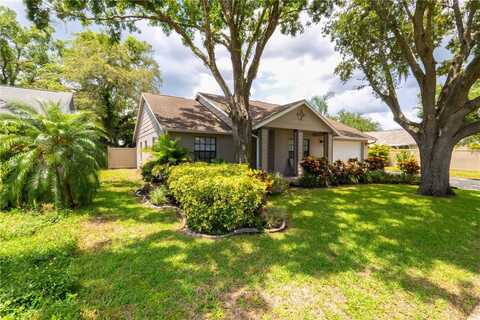 15028 REDCLIFF DRIVE, TAMPA, FL 33625