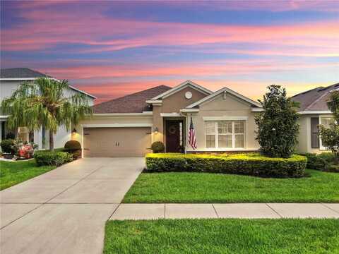 17610 BUCKINGHAM GARDEN DRIVE, LITHIA, FL 33547