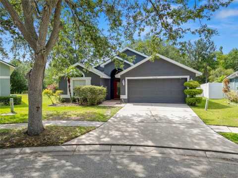 16804 HAWKRIDGE ROAD, LITHIA, FL 33547