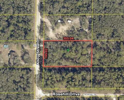 7374 ALLOY STREET, WEBSTER, FL 33597