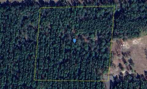 Tbd CO RD 1469, EARLETON, FL 32631