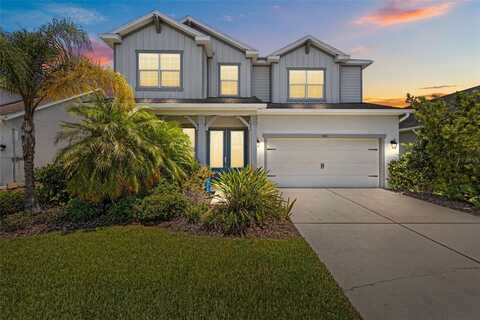 3161 SATILLA LOOP, ODESSA, FL 33556