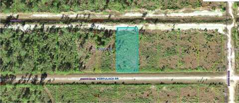 710 PORTULACA DRIVE, INDIAN LAKE ESTATES, FL 33855