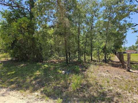 Tbd SE 25TH STREET, MORRISTON, FL 32668