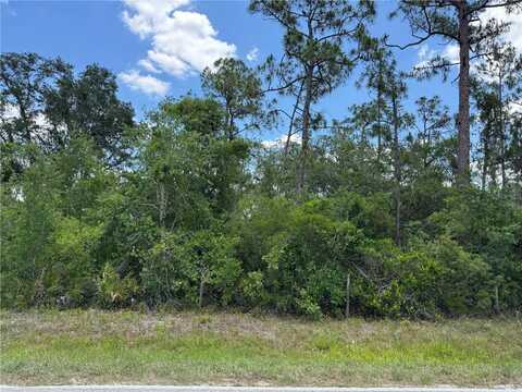 SW FLORIDA ROAD, ARCADIA, FL 34266