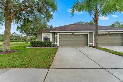 4201 ASHTON MEADOWS WAY, WESLEY CHAPEL, FL 33543