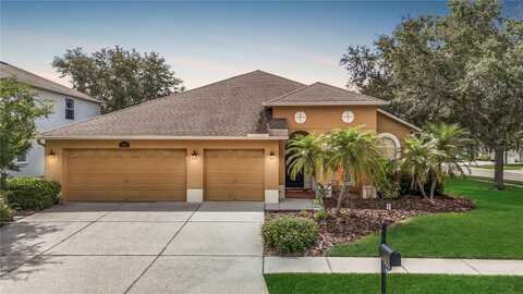 3824 DUKE FIRTH STREET, LAND O LAKES, FL 34638