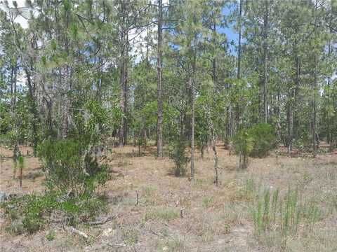 Tbd NE 149TH COURT, WILLISTON, FL 32696