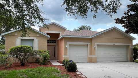 11420 BRIDGE PINE DRIVE, RIVERVIEW, FL 33569