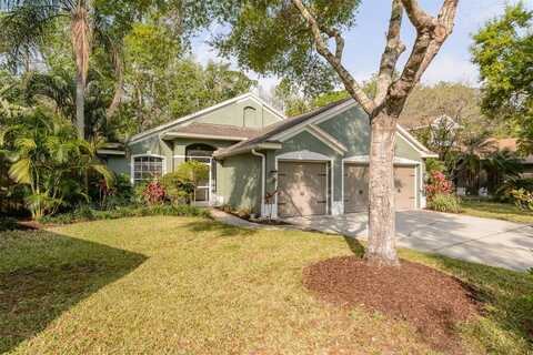 5619 ESSEX COURT, PALM HARBOR, FL 34685