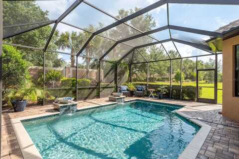 11551 CALLISIA DRIVE, ODESSA, FL 33556