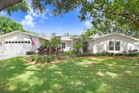 10513 CARROLLVIEW DRIVE, TAMPA, FL 33618