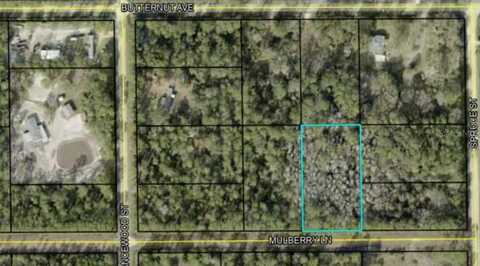 5414 MULBERRY LANE, BUNNELL, FL 32110