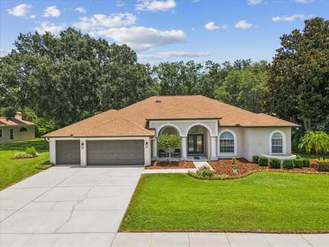 18803 MISTY SHORES LANE, LUTZ, FL 33548