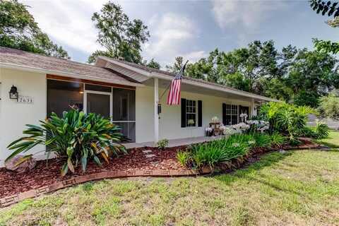 17631 GROVE VIEW DRIVE, LUTZ, FL 33549
