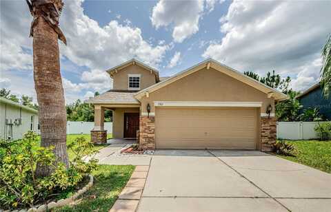 3305 HOYLAKE COURT, LAND O LAKES, FL 34638