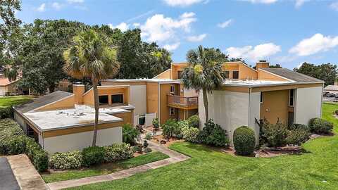 1051 S HIGHLAND STREET, MOUNT DORA, FL 32757