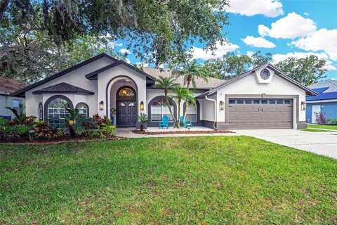 4617 BASSWOOD STREET, LAND O LAKES, FL 34639