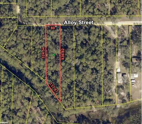 7255 ALLOY STREET, WEBSTER, FL 33597