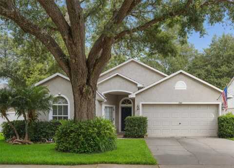 3101 BEAVER POND TRAIL, VALRICO, FL 33596