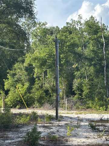 NW 30TH STREET, BELL, FL 32619