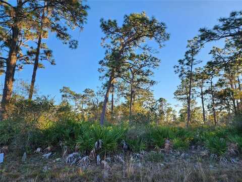 CAMELLIA DRIVE, INDIAN LAKE ESTATES, FL 33855