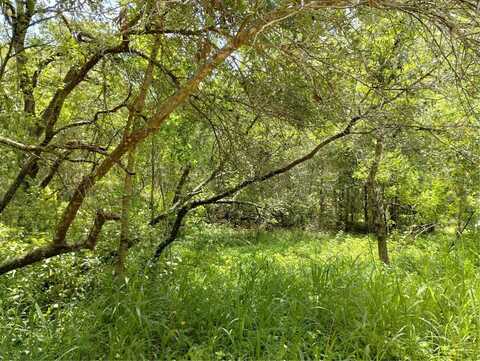 DOGWOOD WAY, LONGWOOD, FL 32750
