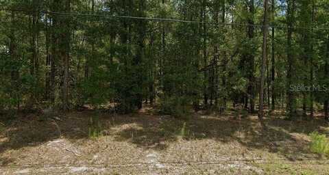 undefined, DUNNELLON, FL 34434