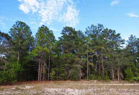 DONOVAN AVE, INTERLACHEN, FL 32148