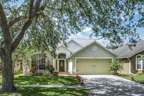 12335 GLENFIELD AVENUE, TAMPA, FL 33626