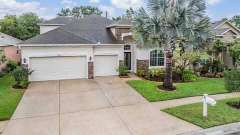 31331 ANNISTON DRIVE, WESLEY CHAPEL, FL 33543