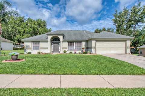 1132 HILL MOUNT DRIVE, MINNEOLA, FL 34715