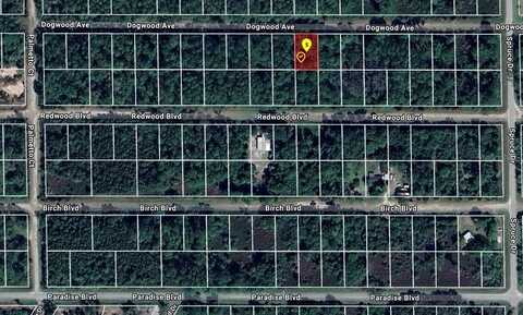 423 DOGWOOD AVENUE, GEORGETOWN, FL 32139