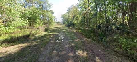 423 DOGWOOD AVENUE, GEORGETOWN, FL 32139