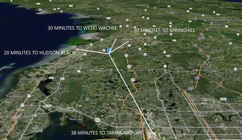 WEBB, NEW PORT RICHEY, FL 34654