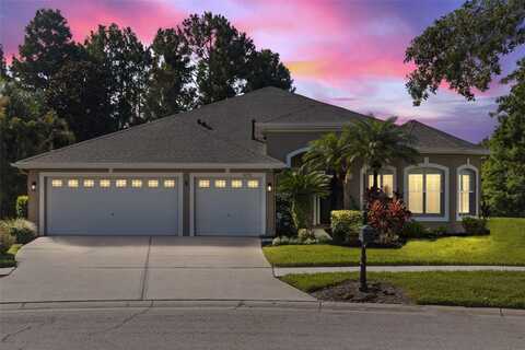 10751 TAVISTOCK DRIVE, TAMPA, FL 33626