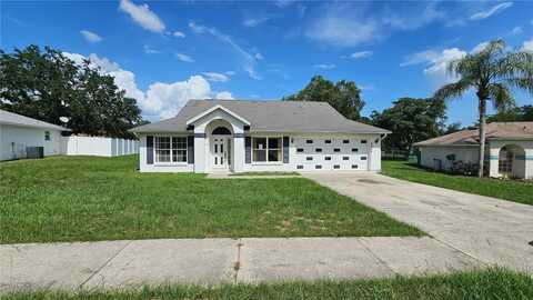 12512 DRAW DR DRIVE, GRAND ISLAND, FL 32735