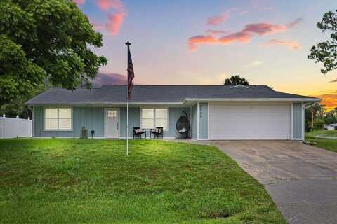 2529 UMBRELLA TREE DRIVE, EDGEWATER, FL 32141