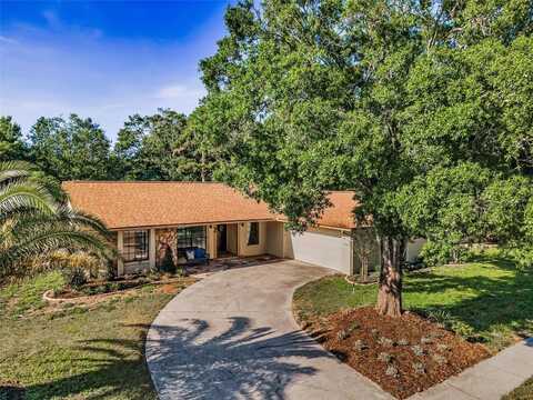 3041 OAK VIEW DRIVE, PALM HARBOR, FL 34684
