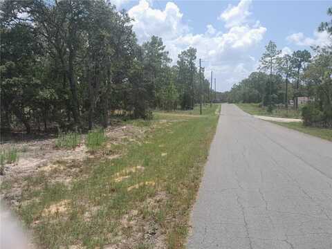 Tbd NE 7TH PLACE, WILLISTON, FL 32696