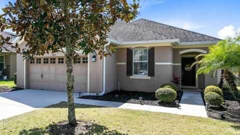30245 CHEVAL STREET, MOUNT DORA, FL 32757