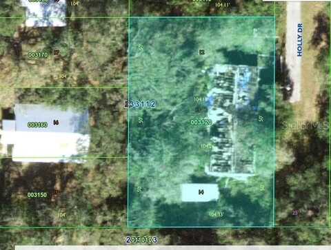7008 HOLLY DRIVE, MULBERRY, FL 33860