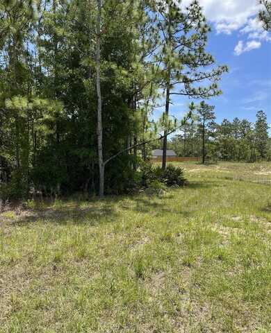0 CELESTE {LOT6} AVENUE, WEEKI WACHEE, FL 34614